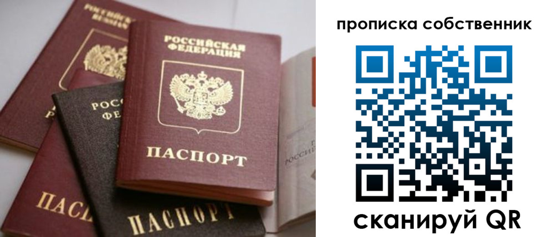 прописка для школы в Шали